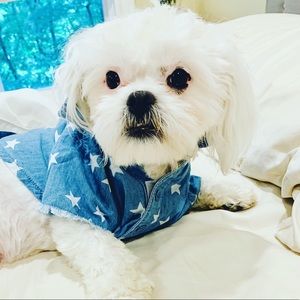 Meet your Posher, Laila